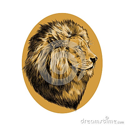 Lion proud, face in profile Vector Illustration