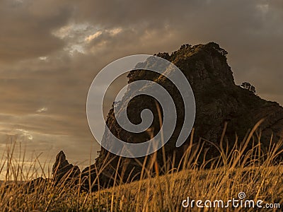Lion Rock, Piha, NZ Stock Photo
