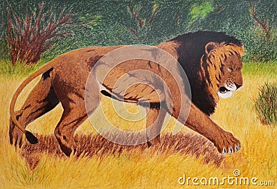 Lion in savannah Stock Photo