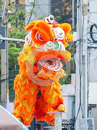 Lion show happy chinese year Editorial Stock Photo