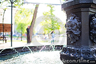 Lion water fountain in a park. Stock Photo