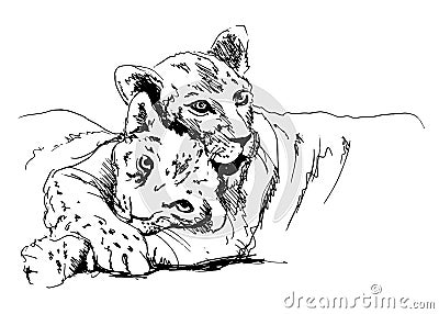 Lioness with cub Vector Illustration