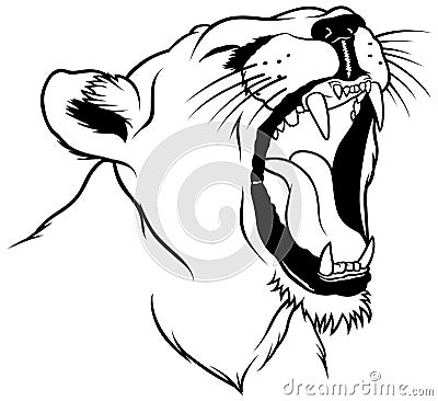 Lioness Head Vector Illustration
