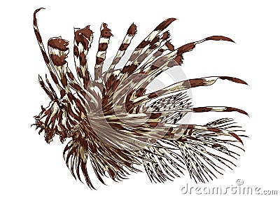 Lionfish. Vector illustration decorative design Vector Illustration
