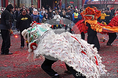 Lions Dancing on the Spent Fire Crackers Editorial Stock Photo