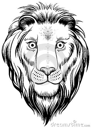 Lions head, vector illustration. Vector Illustration