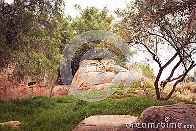 Lions nap - Safari Park San Diego Stock Photo