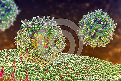 Lipid nanoparticle mRNA vaccine Cartoon Illustration