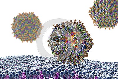 Lipid nanoparticle mRNA vaccine Cartoon Illustration