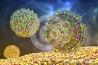 Lipid nanoparticle mRNA vaccine Cartoon Illustration