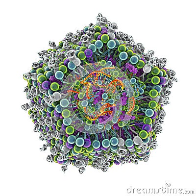 Lipid nanoparticle mRNA vaccine Cartoon Illustration