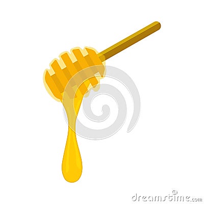 Honey on honeyspoon or dipper closed up isolated on white Vector Illustration