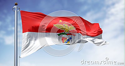 Benfica football club flag waving in the wind Cartoon Illustration