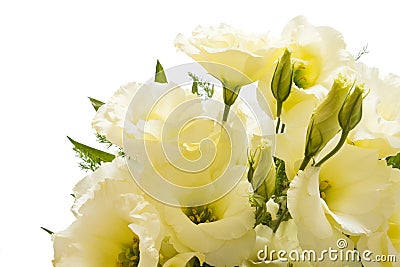 Lisianthus bouquet Stock Photo