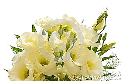 Lisianthus flowers Stock Photo