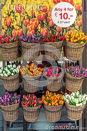 Lisse, Netherlands, April 2022. A display of wooden tulips at the Keukenhof. Editorial Stock Photo