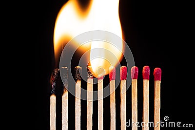 Lit match next to a row of unlit matches. Stock Photo