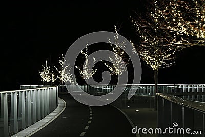 A lit pathway with leading into infinity Stock Photo