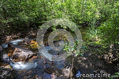 Litchfield NP Florence Falls Stock Photo