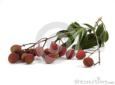 LITCHI OR LITCHEE litchi sinensis AGAINST WHITE BACKGROUND Stock Photo