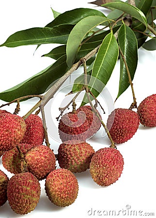 LITCHI OR LITCHEE litchi sinensis AGAINST WHITE BACKGROUND Stock Photo