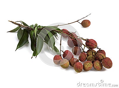 Litchi or Litchee, litchi sinensis, Exotic Fruits against White Background Stock Photo