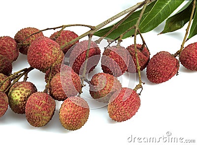 Litchi or Litchee, litchi sinensis, Exotic Fruits against White Background Stock Photo