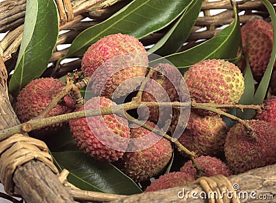 Litchi or Litchee, litchi sinensis, Exotic Fruits in basket Stock Photo