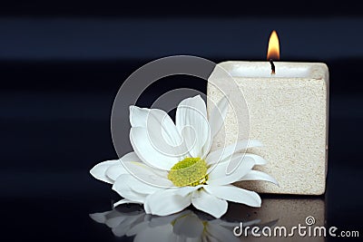 Lite candle with a daisy Stock Photo