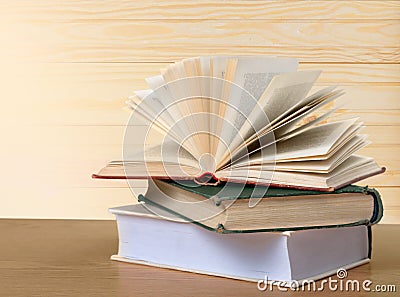 Literature studying Stock Photo