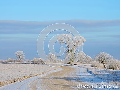 Lithuanian landscape in winter Stock Photo