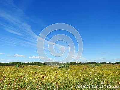 Lithuanian summer landscape Stock Photo