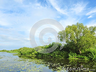 Lithuanian summer landscape Stock Photo