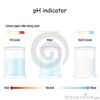 Litmus paper after being used in acid, base and fresh water Vector Illustration