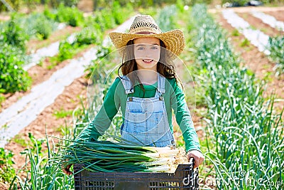 Litte kid farmer girl in onion harvest orchard Stock Photo