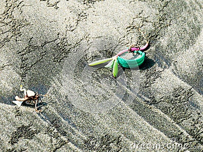 A little aquatic plant over a plastic cap on a caribbean beach near cartagena colombia contamination Stock Photo