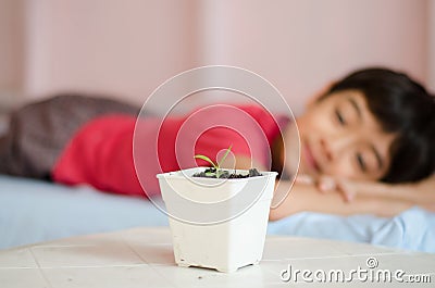 Little asian boy wating for new baby plant grow up Stock Photo