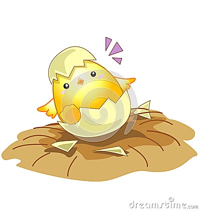 Little baby chicken from an egg Stock Photo