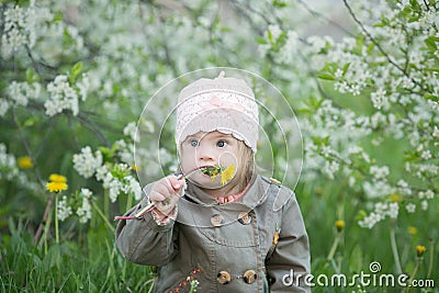 Little baby girl with Down syndrome in the mouth pulls dandelions Stock Photo