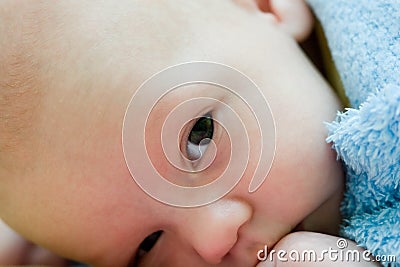 Little baby head close-up Stock Photo