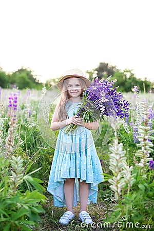 Little beautiful girl in a straw hat and dress in a field of lupins. Girl holds a large bouquet of purple lupins in a flowering fi Stock Photo