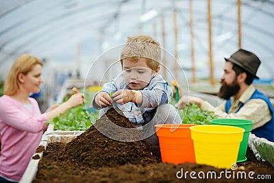 Little biologist. little biologist work with soil. little biologist in greenhouse. little biologist child planting Stock Photo