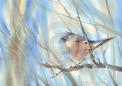 Little bird bullfinch on the branch watercolor background Cartoon Illustration