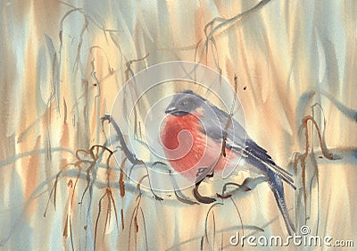 Little bird bullfinch on the branch watercolor background Cartoon Illustration