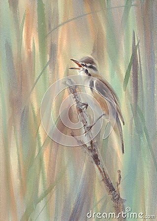 Little bird sparrow on the branch watercolor background Cartoon Illustration