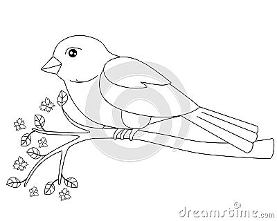 Little bird - sparrow sitting on a flowering branch - linear vector spring picture for coloring. Cute bird on a branch with young Vector Illustration