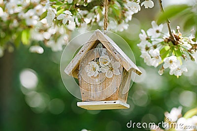 Little Birdhouse in Spring with blossom cherry Stock Photo