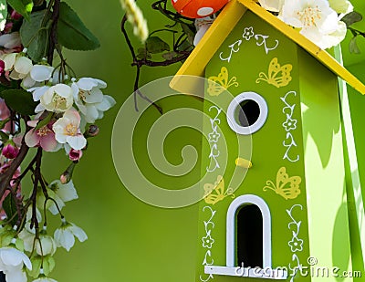 Little birdhouse in spring over blossom cherry tree and ladybird Stock Photo