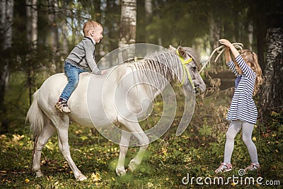 Little blond girl leading pony by bridle with her younger brother Stock Photo