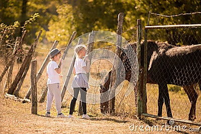 Little blonde boy and girl on the farm with wild horses Stock Photo